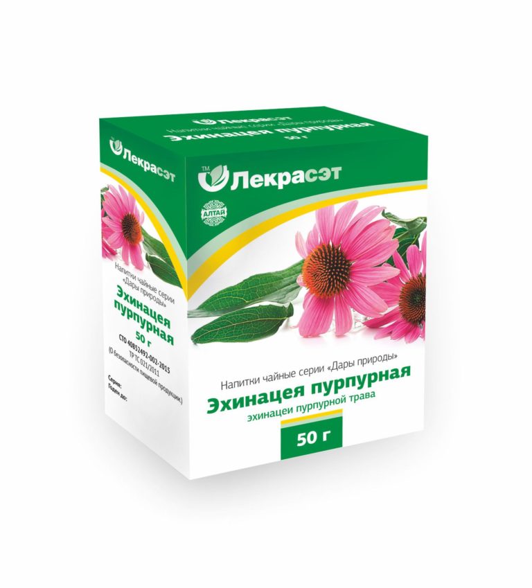 ЭХИНАЦЕЯ ПУРПУРНАЯ Echinácea purpúrea