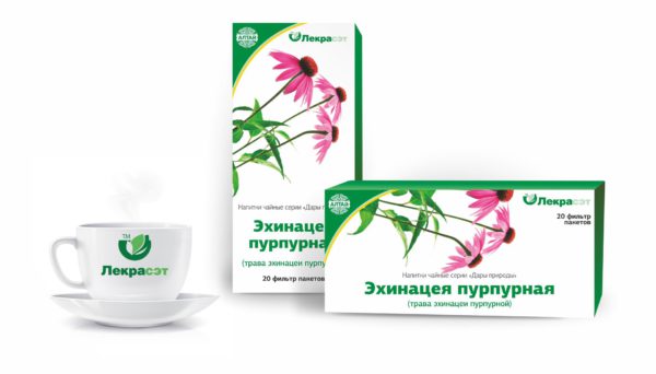 эхинацея пара