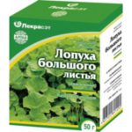 листья лопуха