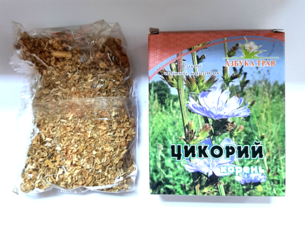цикорий