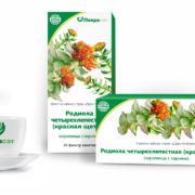 Родиола четырехлепестная ф-п