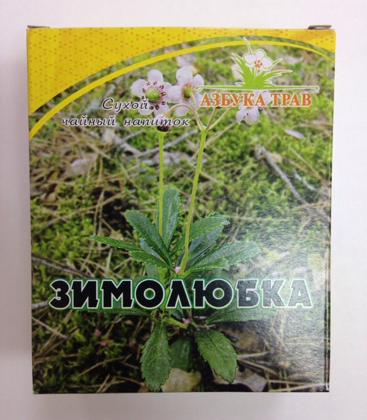 zimolubka