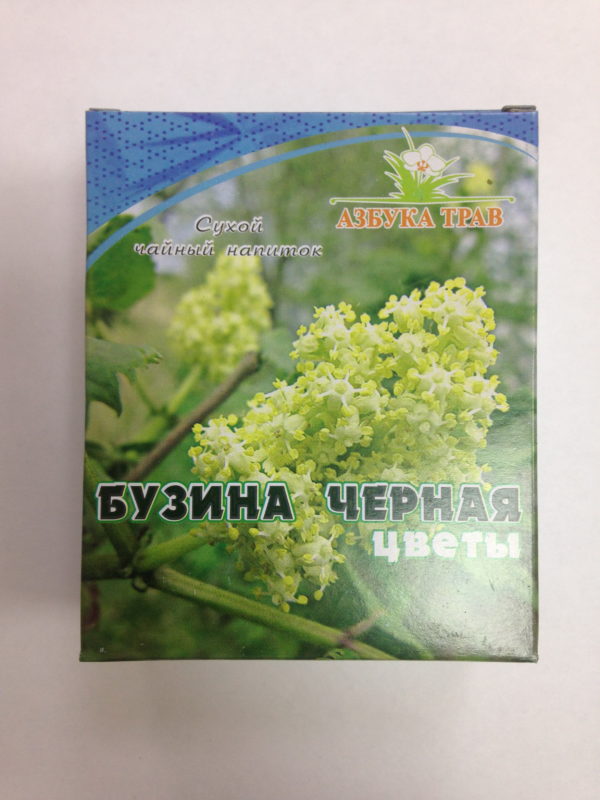 Бузина черная Sambucus nigra 1