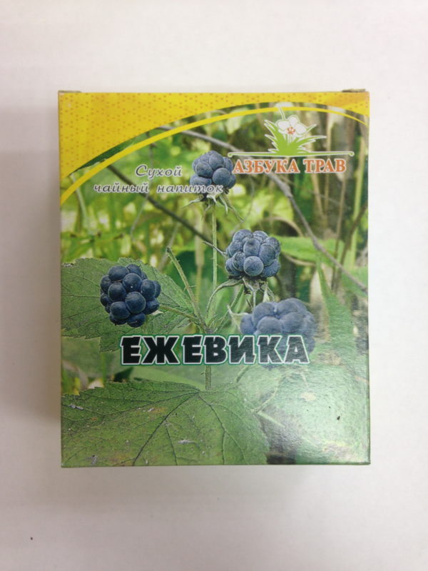 Ежевика сизая Rubus caesius 1
