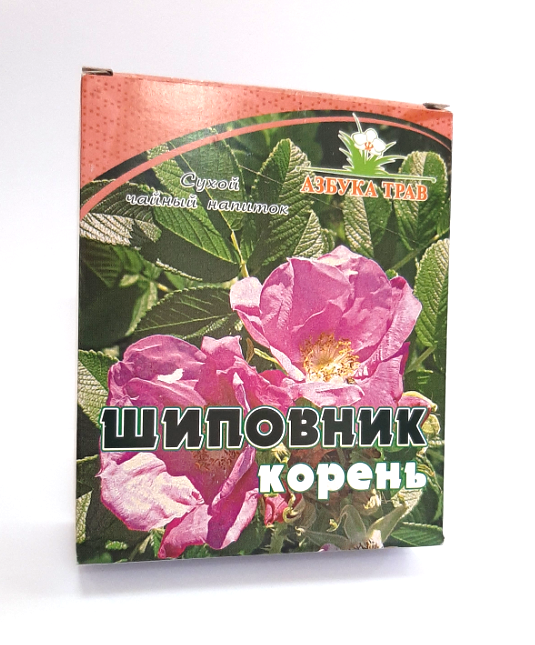 шиповник корень