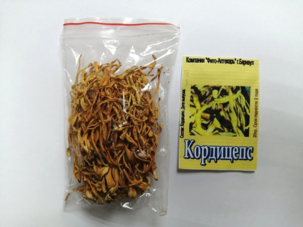 Кордицепс гриб, Фито-Аптекарь ,Ophiocordyceps sinensis