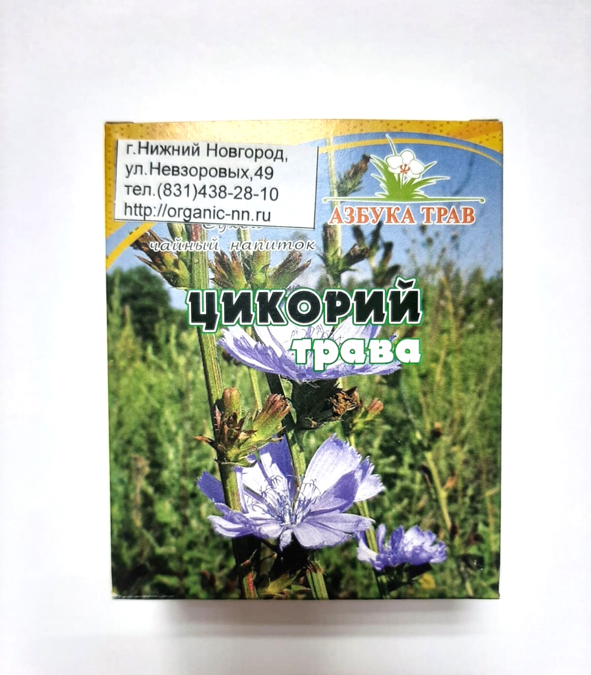 Цикорий обыкновенный и его лекарственные свойства. Применение и фото цикория.