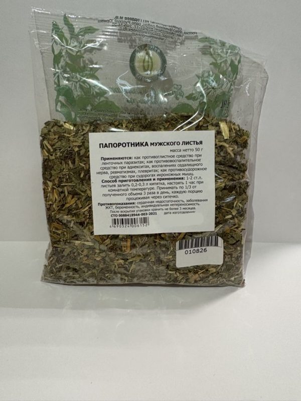 Папоротник листья1
